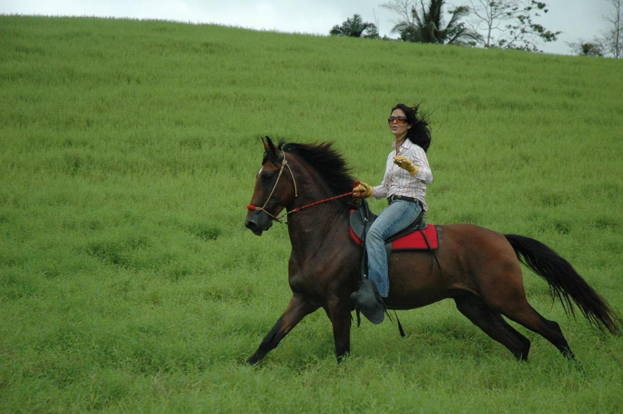 La Finca Lodge La Fortuna 外观 照片