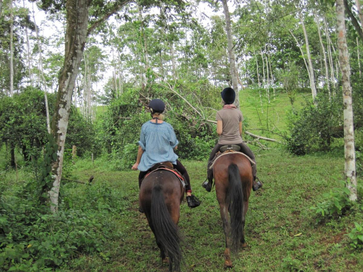 La Finca Lodge La Fortuna 外观 照片